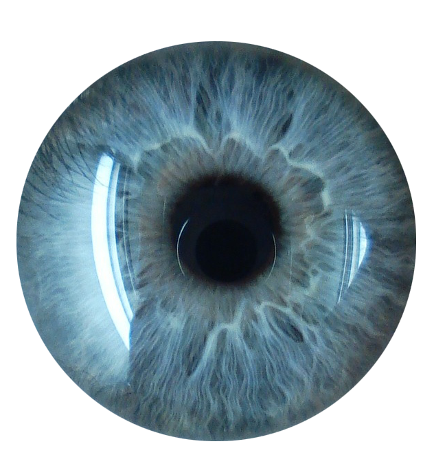 De olho na tecnologia